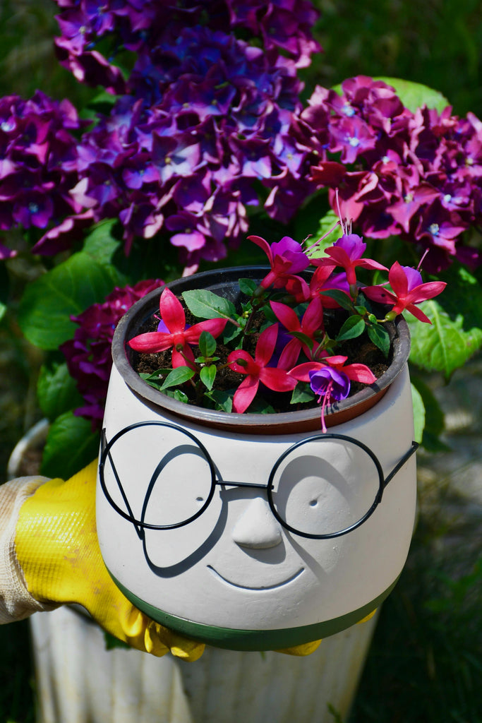 Minimal Flower Pots That Make a Big Style Statement