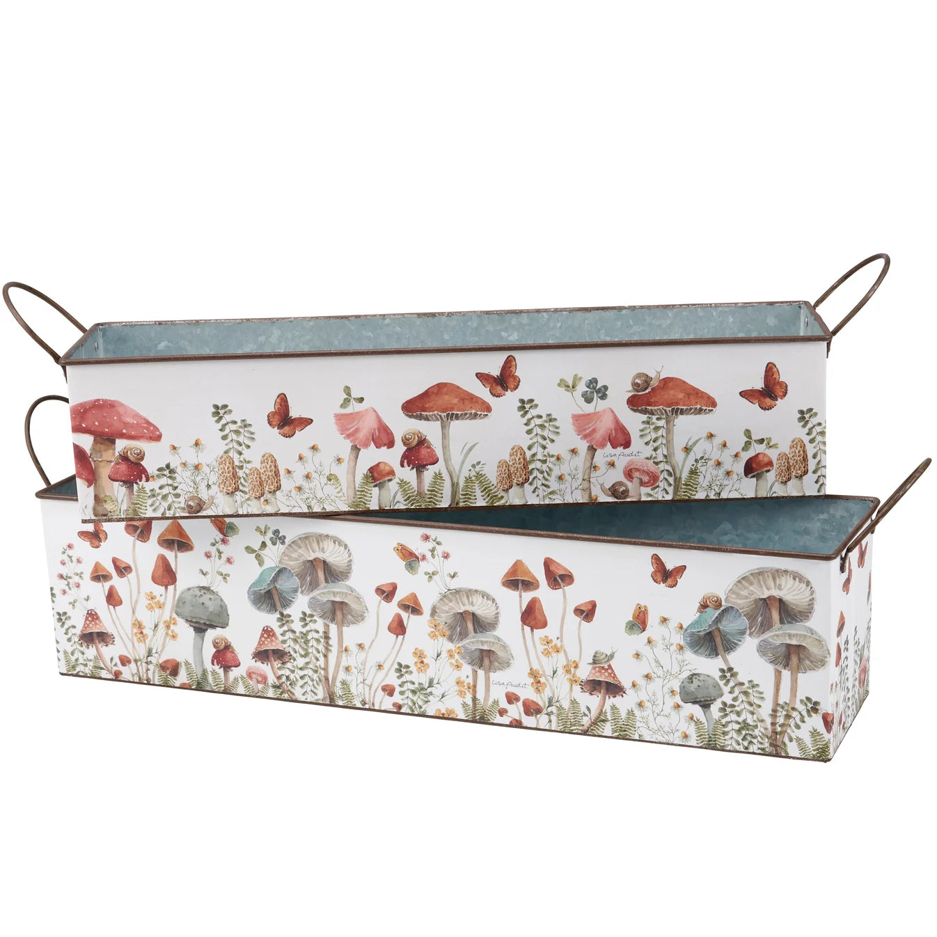Mushroom Study Bin
