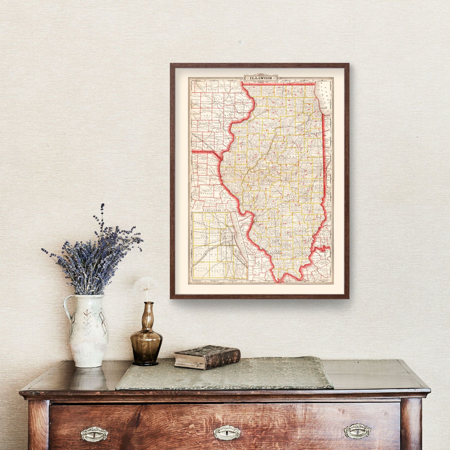 Vintage Map of Illinois 1882