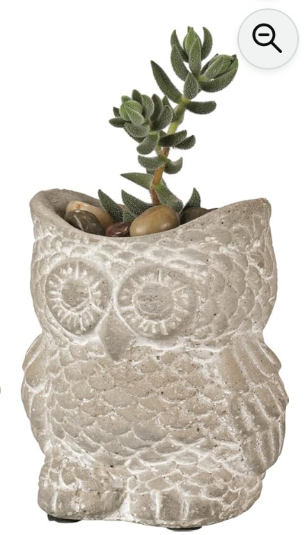 Cement Owl Planter – Indoor & Outdoor Garden Decor (Sold Separately)